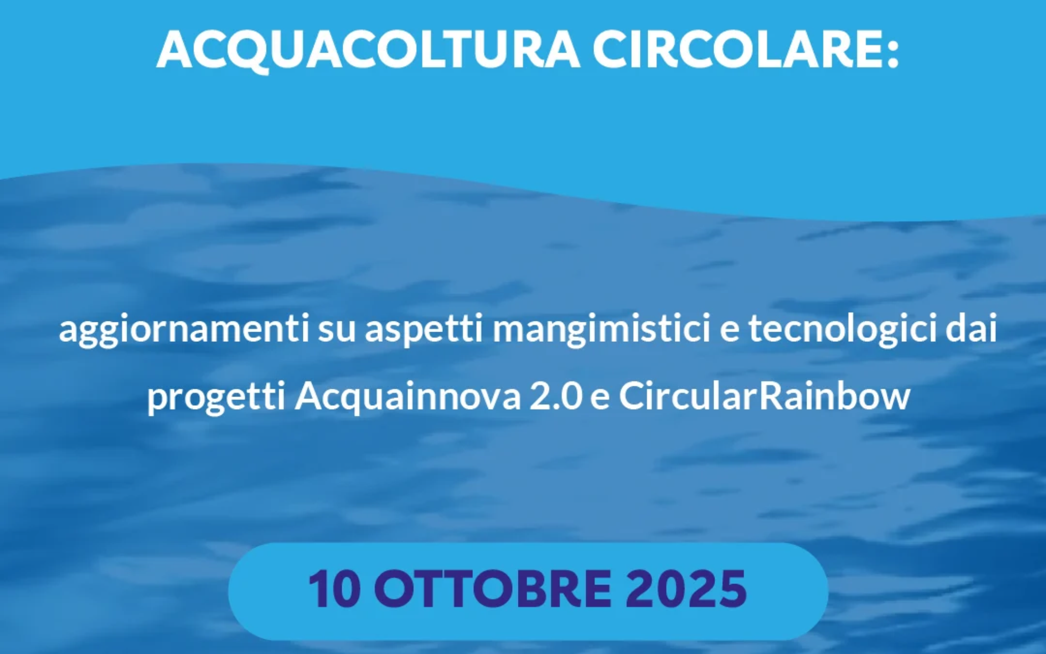 Acquacoltura circolare: aggiornamenti su aspetti mangimistici e tecnologici dai progetti Acquainnova 2.0 e CircularRainbow