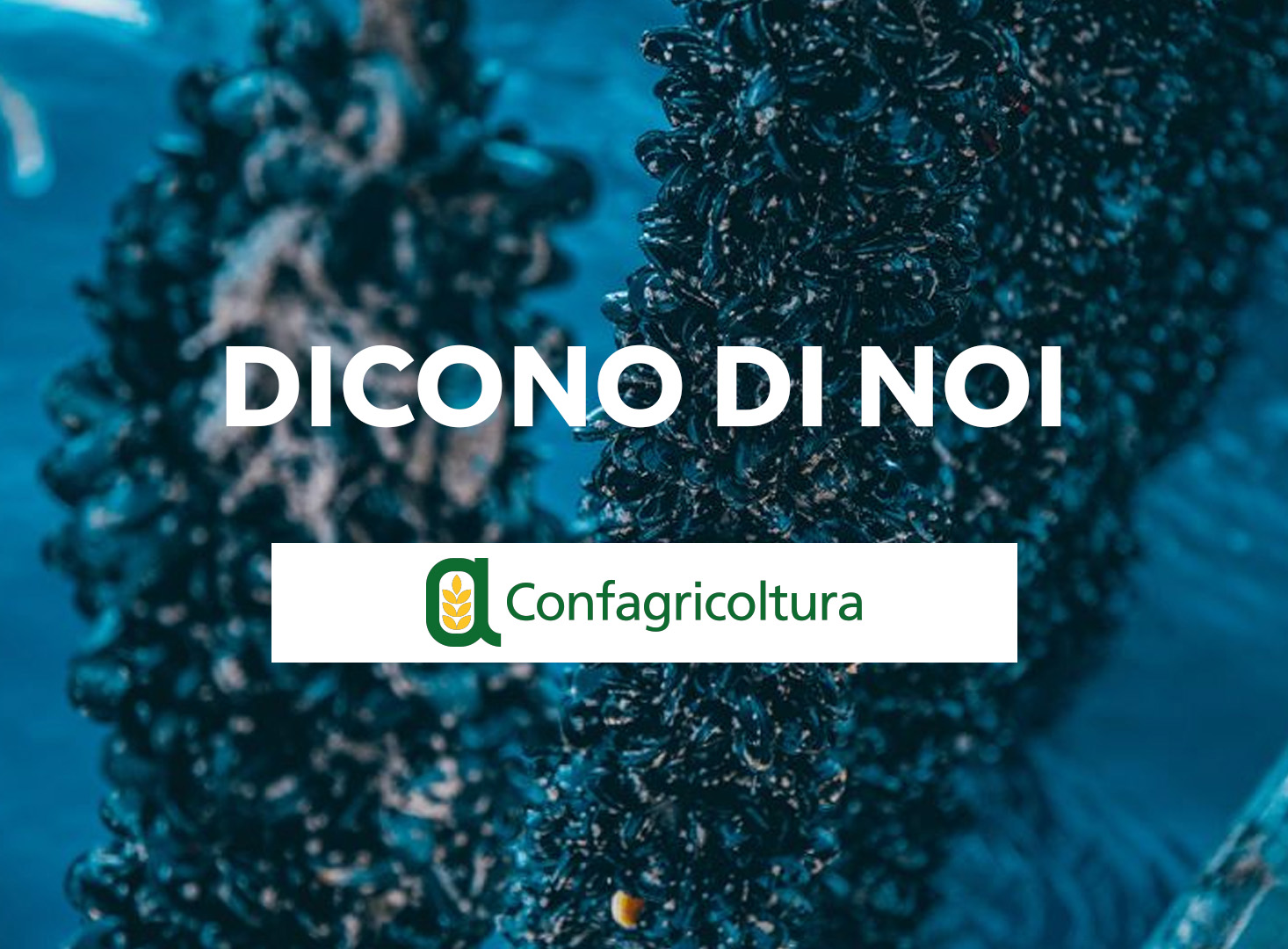 Acquainnova 2.0 su Mondo Agricolo
